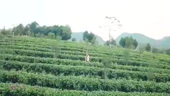 渔乐圈最新爆料消息,最新爆料事件深度解析